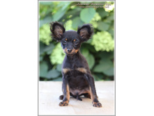 3 ������