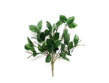 40/0236� ������ ��� ����