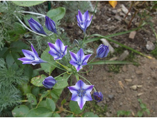 ��������� ����