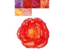 40/7262� �������� ������