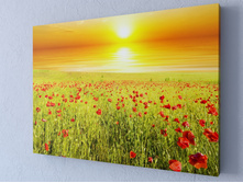 ����� 2.jpg