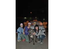 ������� ��� �� ������ �������.jpg