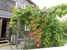 DSC03201.JPG