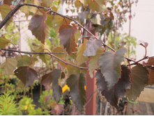 ������ �������� �������� 500-1500