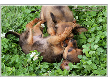 2 ������