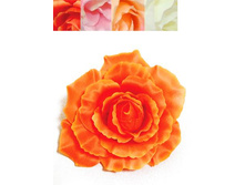 406/0084B ������ ���� (� ��. 6 ��.)