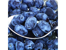 ��������� ��������-191