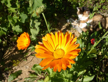 P1050356.JPG