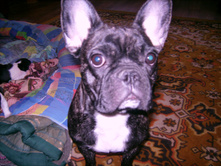 IMG 0012.JPG