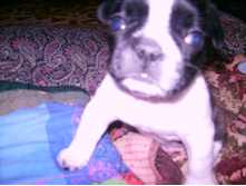 IMG 0024.JPG