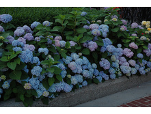 ��������� �����-���-151