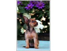 2 ������