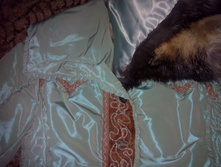 IMG 20150910 155621.jpg
