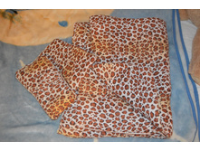 �������+������, 500�