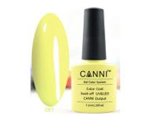 Gellak Shellac CANNI 81 min.jpg