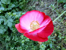 P1050419.JPG