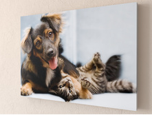 ��ԣ��� � �����.jpg