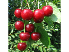 ����� ��������������-300�.jpg