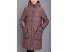 M373 , ���� 3.jpg