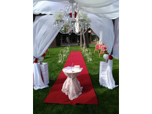 IMG 20150815 154432.jpg