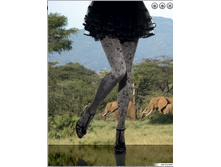 �12. �������� ������� BRISA seta 80.jpg