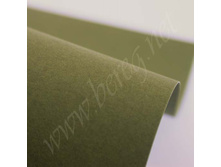 Wasabi - ������- ������ � ������������� ��������