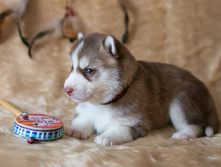 №2 �������