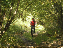 ����� POWER