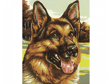 9240382 ������� ���� 1058 ���..jpg