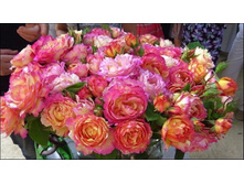 Marc Chagall 9,70.jpg