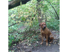 IMG 20150910 102622.jpg