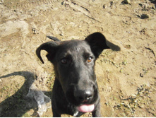 �������� �����