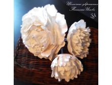 ����� �� ��������