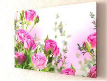 ����� ���� ���.jpg