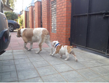 11924763 1870997739792581 281898884932041659 n.jpg