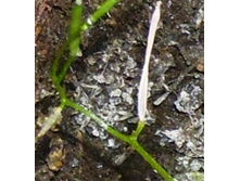 ������ �� ������������� ������