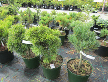 �.����.���� �����2200-�.����.���.�����2200