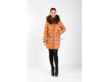 54172 �/������ (���)  5 900 ���.