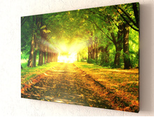 ����� 2.jpg