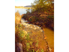 IMG 20150923 130713.jpg