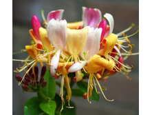 ��������� ���������-164