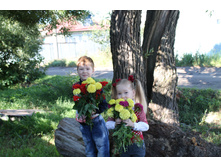 � 1 ��������!!!