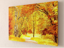 ������ �����.jpg