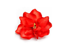 406/0493� ������ ��������� ���������