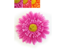 406/0312B ������ ������� (12 ��/��)