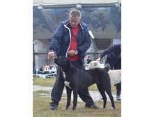 ���� �������