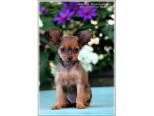 2 ������