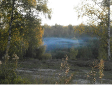 ����� �����