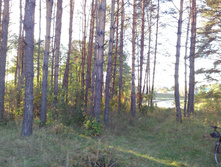 IMG 20150920 171237.jpg