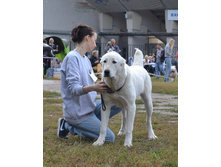 ���� �������